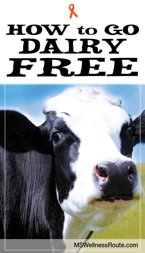 Dairy cow with headline: How to Go Dairy Free
