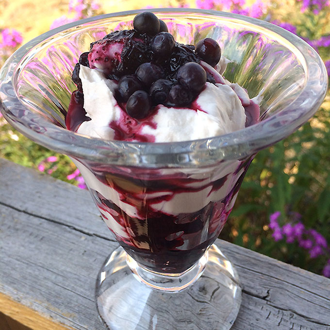Huckleberry Coconut Whipped Cream