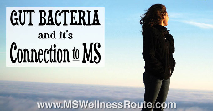 Gut Bacteria and it's Connection to MS
