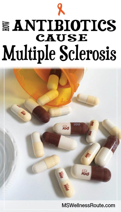How Antibiotics Cause Multiple Sclerosis
