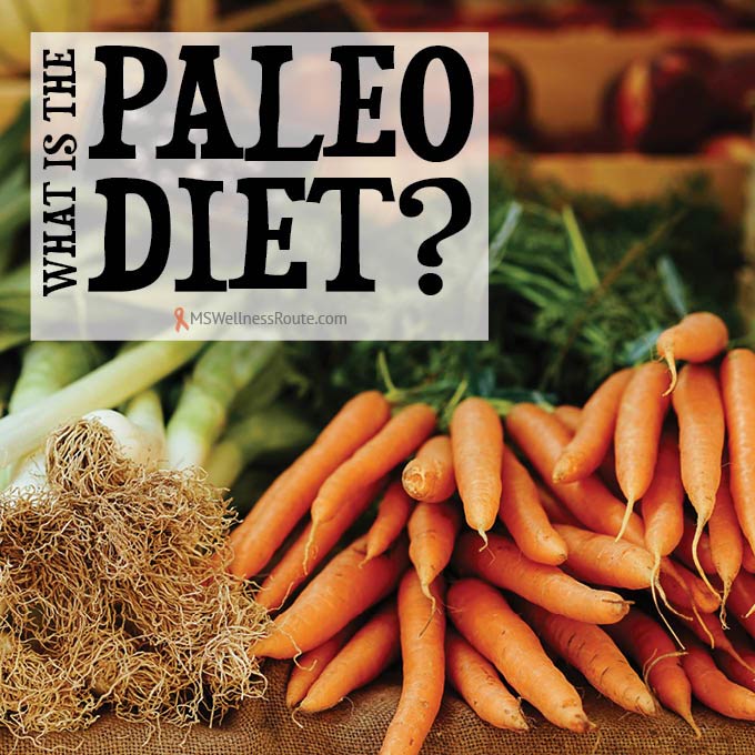 What is the Paleo Diet?