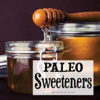 Paleo Sweeteners