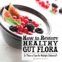 How to Restore Healthy Gut Flora