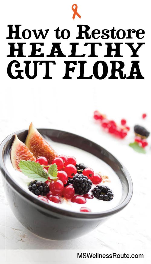 Learn how to restore healthy gut flora. | Gut Health | Wellness Tips | #guthealth #guthealing #probiotics