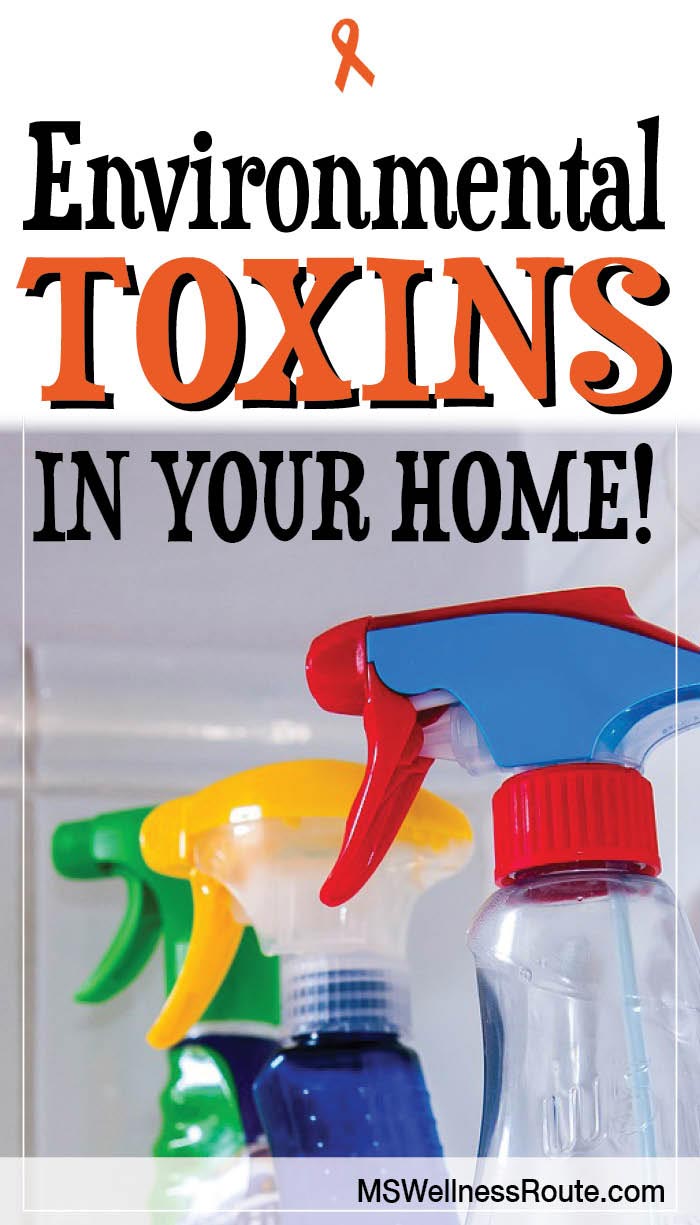 Environmental Toxins in Your Home