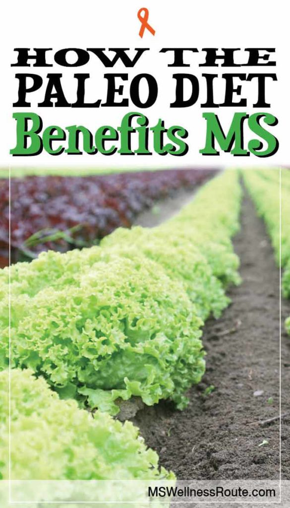 Learn how the paleo diet benefits MS. | Multiple Sclerosis | Wellness Tips | #paleodiet #dietformultiplesclerosis