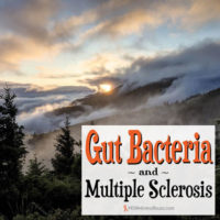 Gut Bacteria and MS