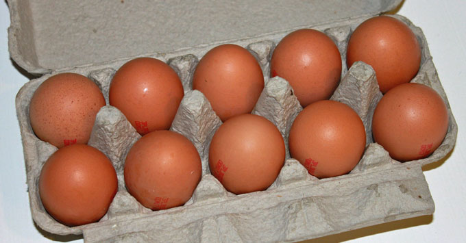 Ten brown eggs in carton.