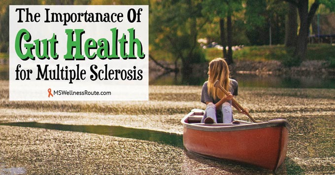 The Importance of Gut Health for Multiple Sclerosis