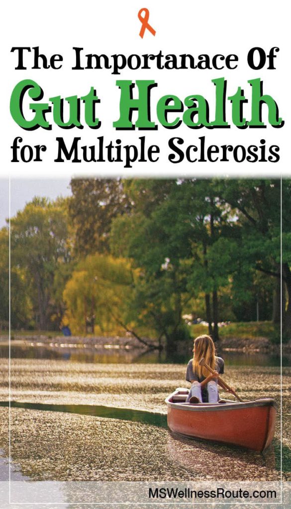 Studies confirm a healthy gut can stop disease progression to MS. #guthealth #multiplesclerosis