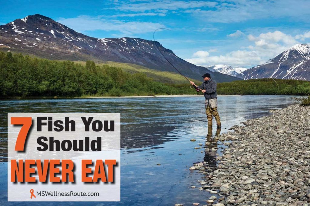 Man fly fishing in mountain river with overlay: 7 Fish You Should Never Eat