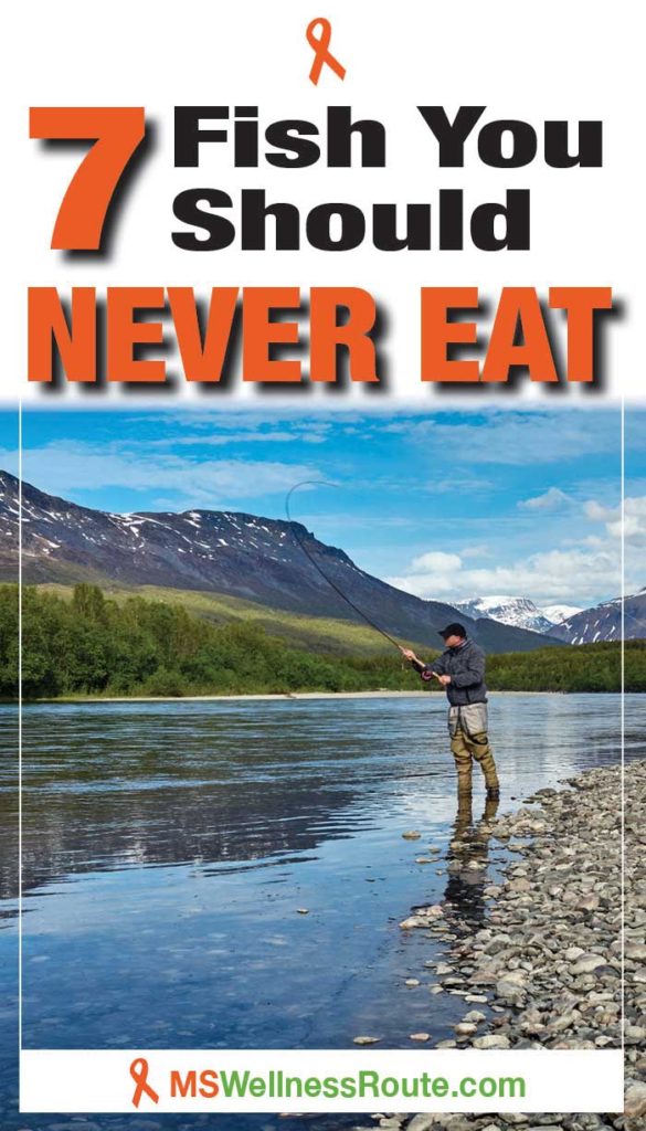 Man fly fishing in mountain river with overlay: 7 Fish You Should Never Eat