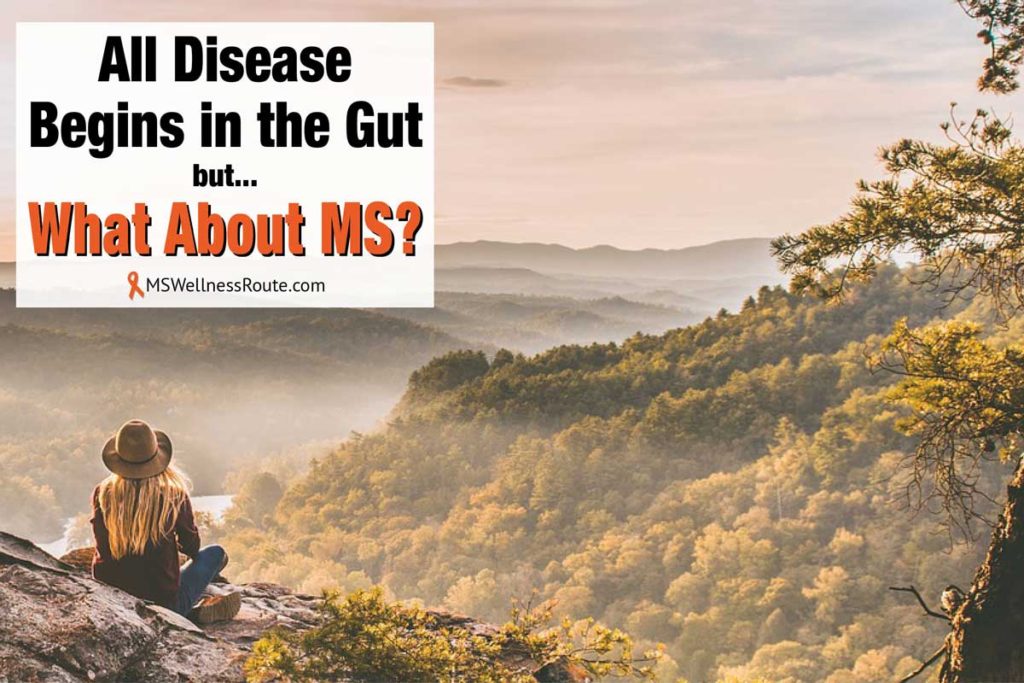 Woman sitting on a rock overlooking mountains with overlay: All Disease Begins in the Gut but What About MS?