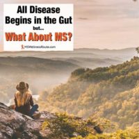 Woman sitting on a rock overlooking mountains with overlay: All Disease Begins in the Gut but What About MS?