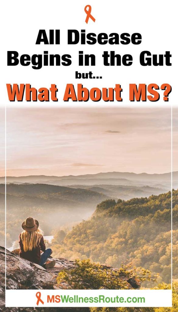 Woman sitting on a rock overlooking mountains with headline: All Disease Begins in the Gut but What About MS?