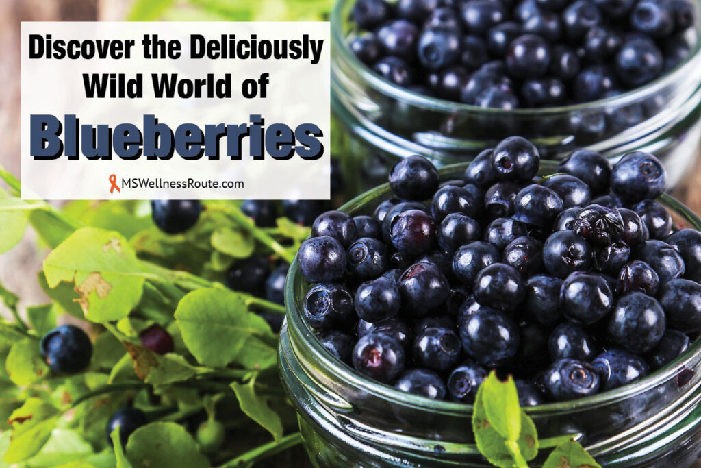 Jars of blueberries with overlay: Discover the Deliciously Wild World of Blueberries