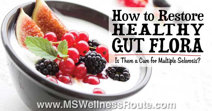 How to Restore Healthy Gut Flora