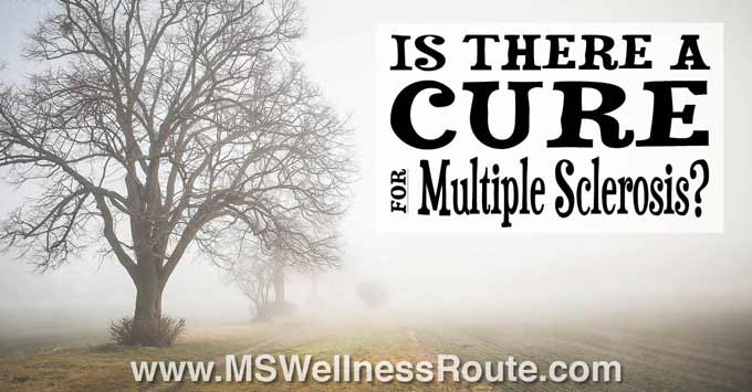 Bare tree in the fog with overlay: Is There a Cure for MS?