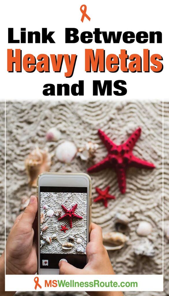 Someone taking photo of starfish and shells with headline: Link Between Heavy Metals and MS