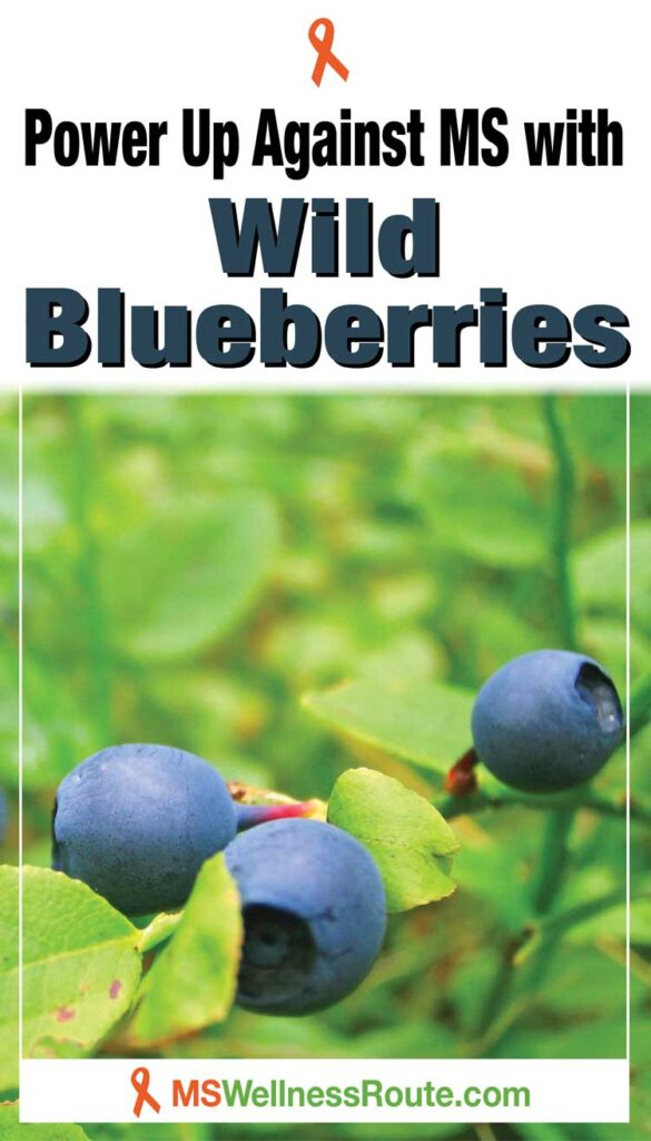 Wild blueberry bush with headline: Power Up Against MS with Wild Blueberries