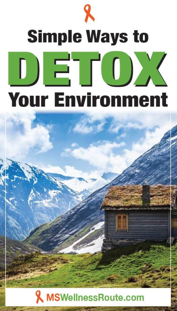 Cabin in snowy mountains with headline: Simple Ways to Detox Your Environment