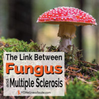 Picture of red capped mushroom with the words saying The Link Between Fungus and Multiple Sclerosis.