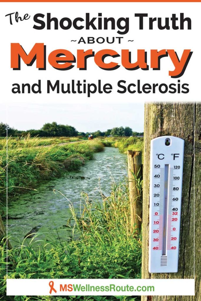 A Pinterest image with A ditch flowing with water and a thermometer on fence post with heading: The Shocking Truth about Mercury and MS