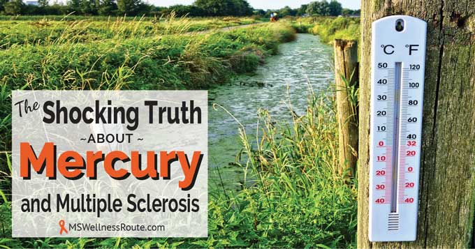 A ditch flowing with water and a thermometer on fence post with overlay: The Shocking Truth about Mercury and MS