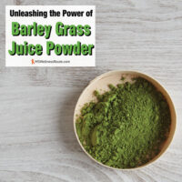 A bowl of green powder with overlay: Unleashing the Power of Barley Grass Juice Powder