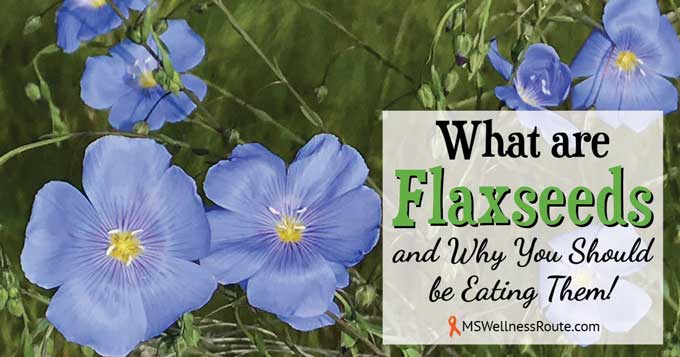 What are Flaxseeds and Why You Should Be Eating Them