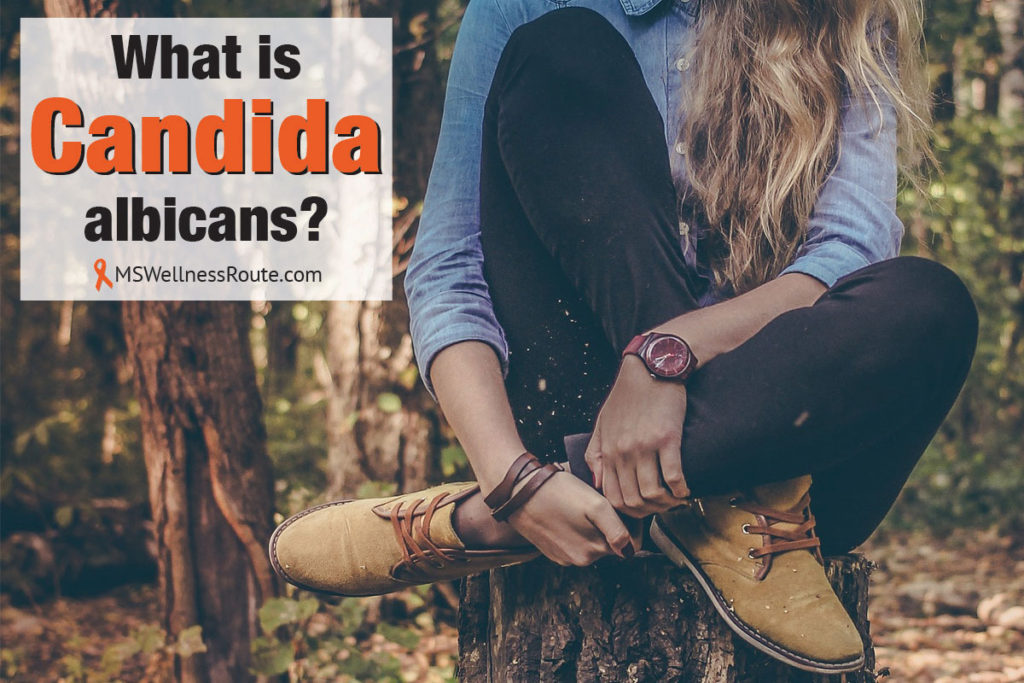 Woman sitting on tree stump in forest with overlay: What is Candida albicans?