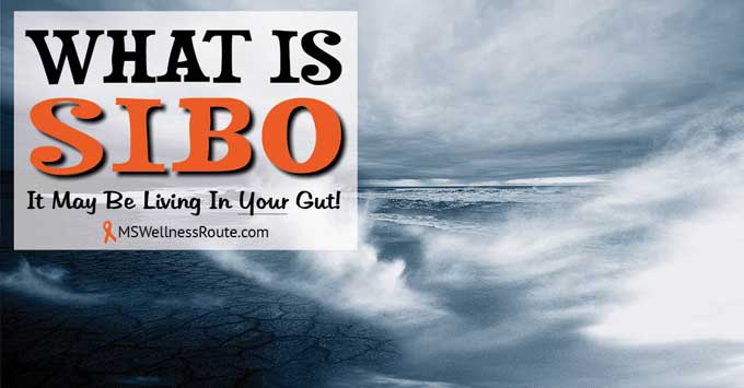 What is SIBO?