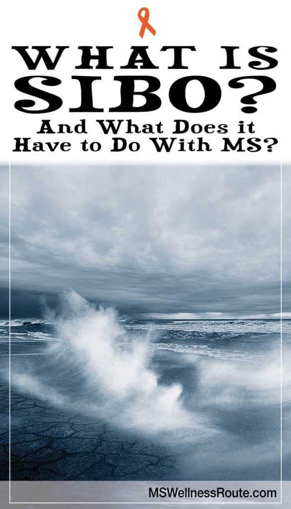 Learn what the symptoms to SIBO are and how to treat it. Plus, a FREE gut health tracker. | #smallintestinalbacterialovergrowth | #guthealth #sibo