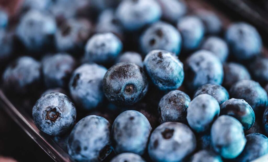 Close up image of blueberries.