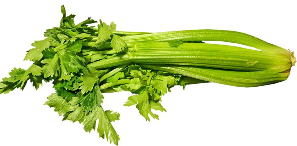 Celery with leaves on top.
