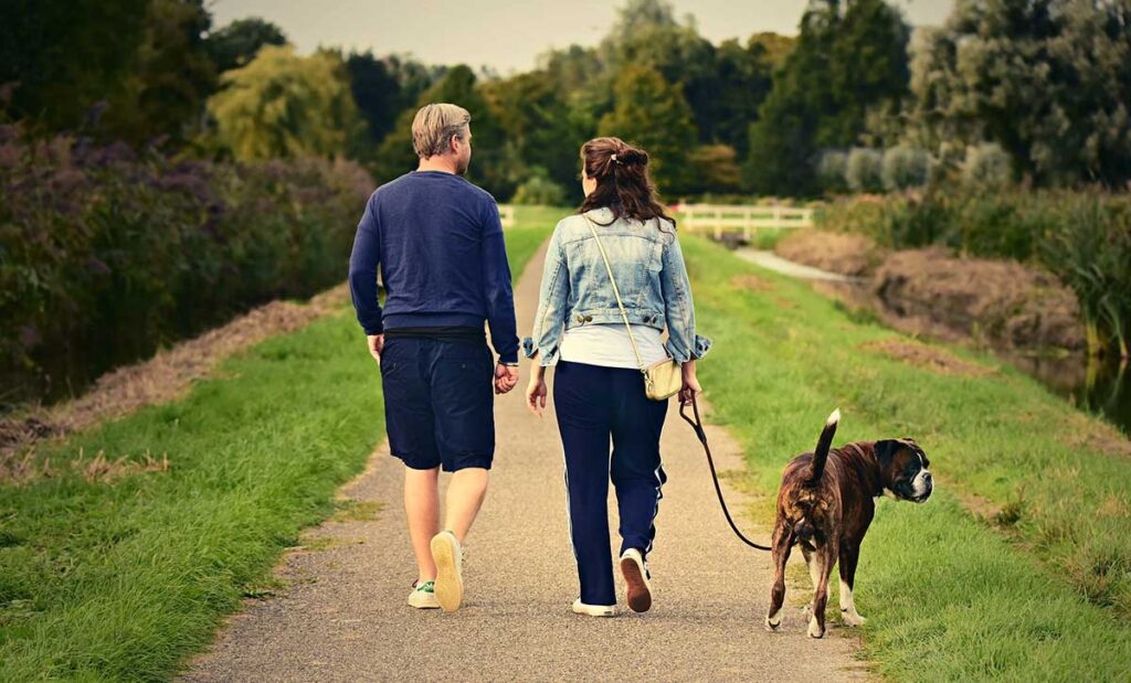 Couple walking on path with dog.