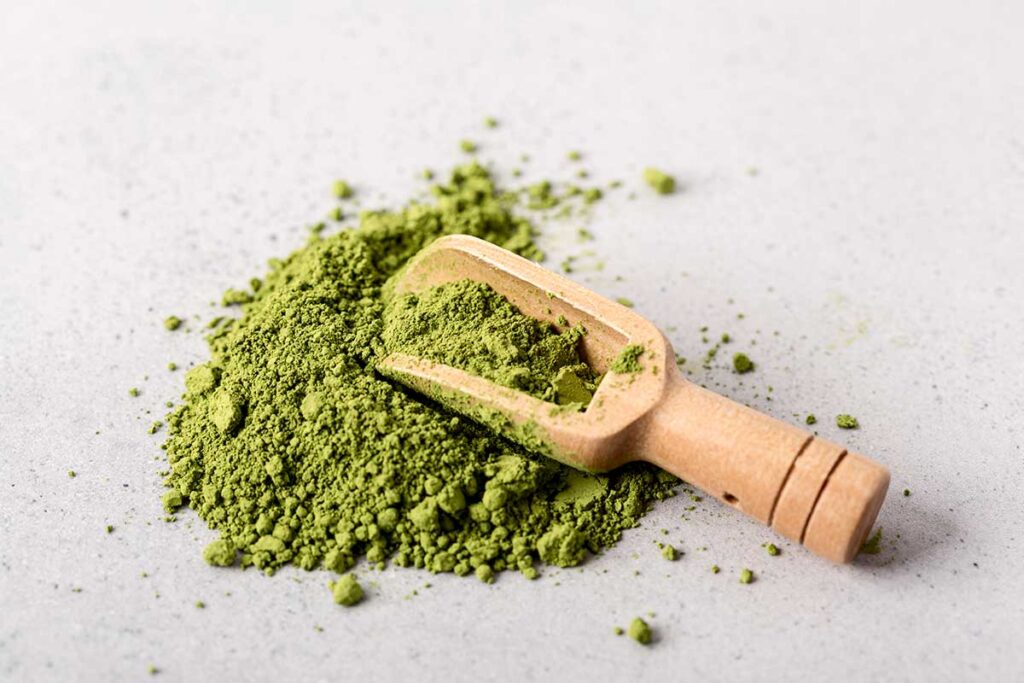 Barley grass juice powder on wooden scoop.