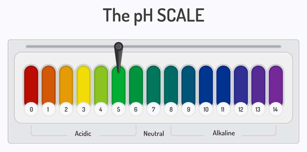 Image of the pH Scale.