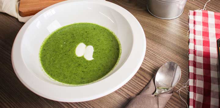Spinach soup in white bowl and red and white checkered napkin.
