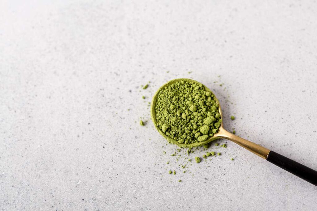 Barley grass juice powder on spoon.