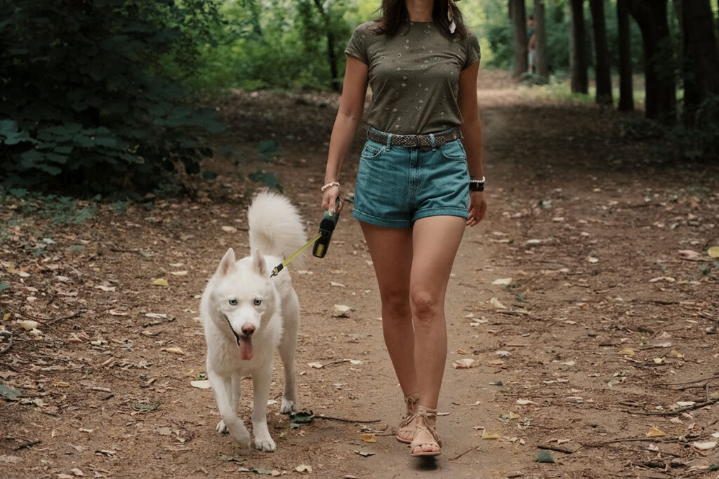 Young woman wearing t-shirt, shorts, and sandals walking with a white husky.